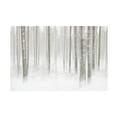 thumbnail image 1 of Christian Lindsten 'Winterforest In Sweden' Canvas Art, 1 of 3