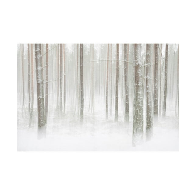 Christian Lindsten 'Winterforest In Sweden' Canvas Art