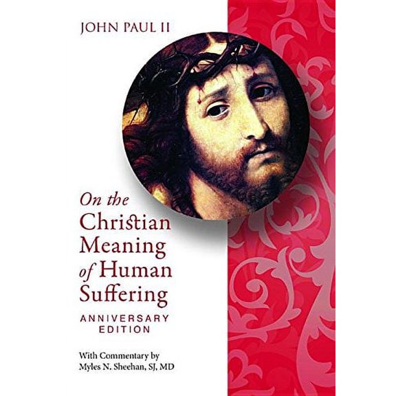 Pre-Owned Christian Meaning Suffering Anniv Ed (Paperback) 0819854581 9780819854582