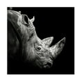thumbnail image 1 of Christian Meermann 'Rhino' Canvas Art, 1 of 1