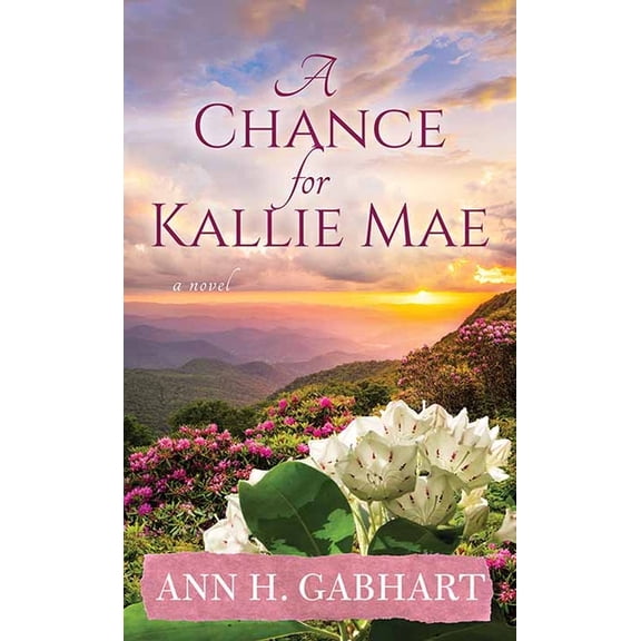 Christian Series Level I (24) A Chance for Kallie Mae, (Hardcover)