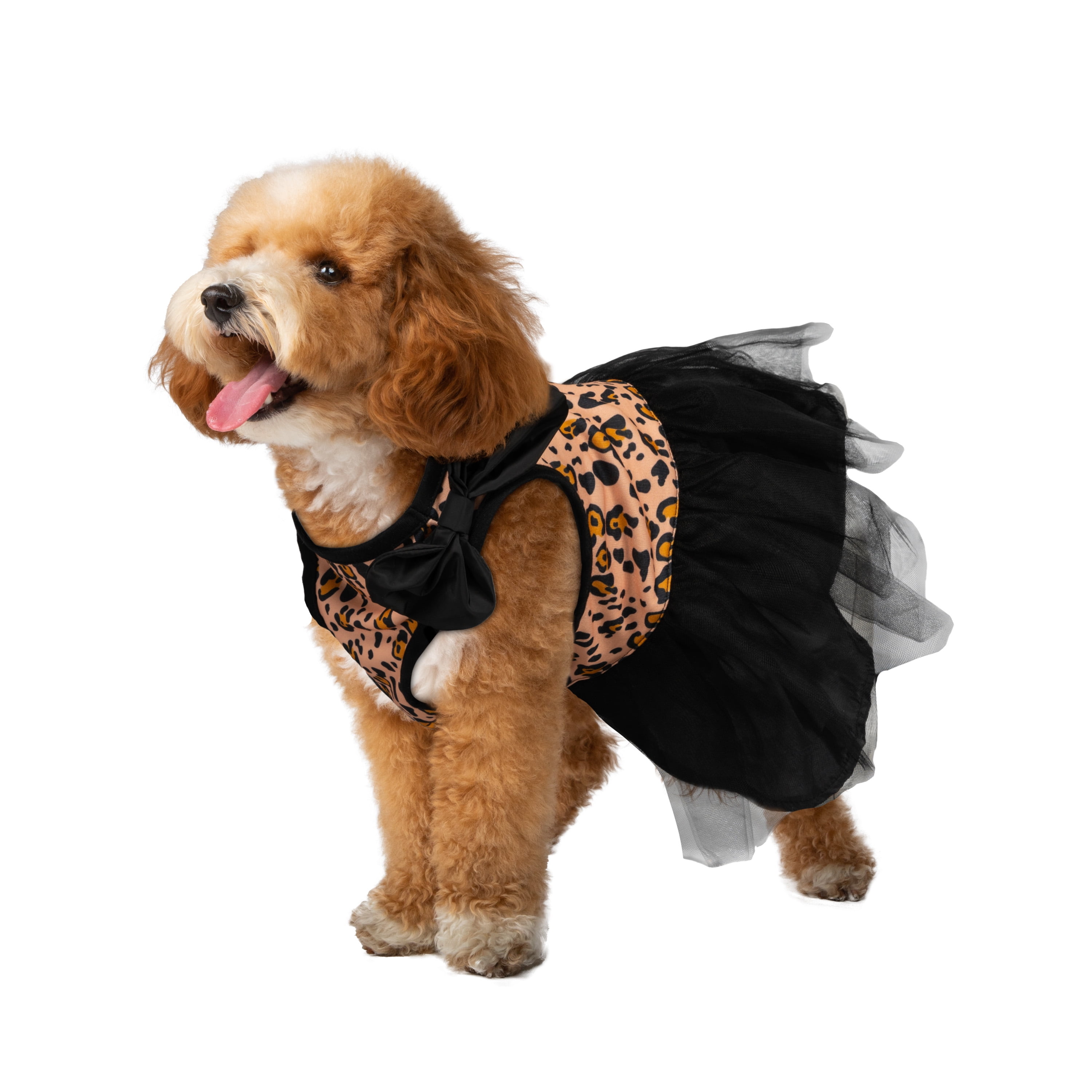 Fancy hot sale dog dress