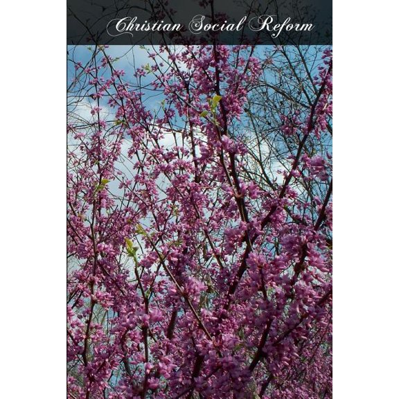 Christian Social Reform (Paperback)