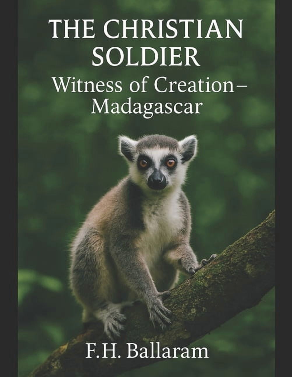 The Christian Soldier: Witness of Creation - Madagascar, (Paperback)