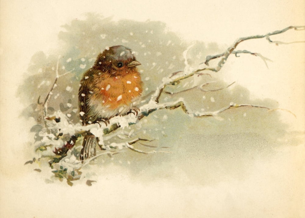 Christians Awake c1890 Robin Canvas Art - Unknown (24 x 36)