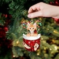 Christmas Acrylic Christmas Stockings For Cats Decorations Christmas