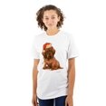 thumbnail image 1 of Christmas Brown Puppy Santa Hat Women's Graphic T Shirt Tees Brisco Brands S, 1 of 5