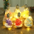 thumbnail image 1 of Christmas Bulb Lights with Flower, Transparent Christmas Ball Lights Hanging Ornaments, Battery Operated LED Lights, Glass DIY Light Bulb with Rope for Xmas Tree Thanksgiving Wedding Party Decoration, 1 of 7