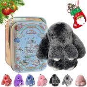GOTYOU Christmas Bunny Christmas Lulu Keychain with Tin, 2024 Handmade Soft Bunny PomPom Charms with Gift Box, Cute Bunnylulu Keychain