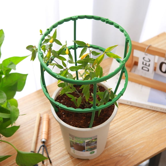 Christmas Cactus Flower Support Pole Set | Steel Core Tomato Cage Connector, Rust-Resistant White Semi-Circular Climbing Plant Stand, 3 Pack, 14x14x3cm, Indoor Outdoor Garden Vine Trellis
