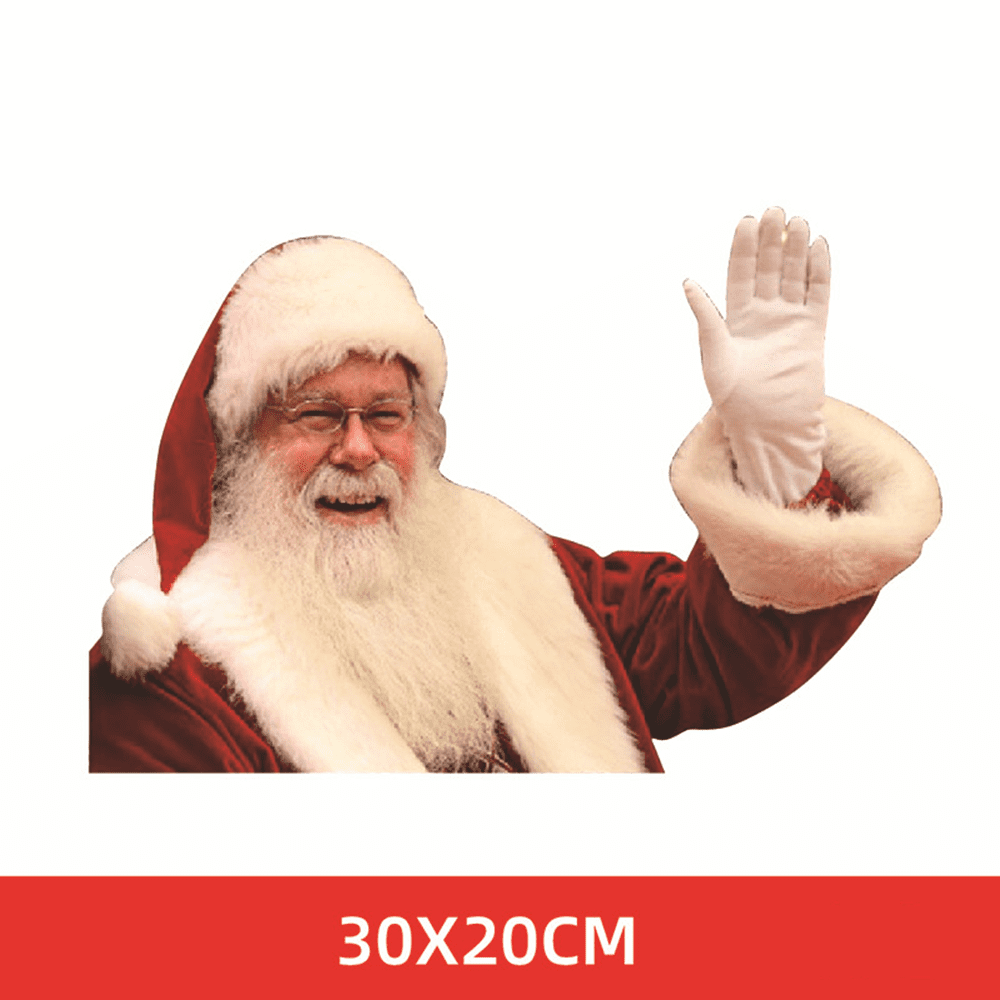 Funny Christmas Car Decorations 