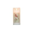 thumbnail image 1 of Christmas Cardinal Timer Candle - 3x5 Pillar - Ragon House, 1 of 1