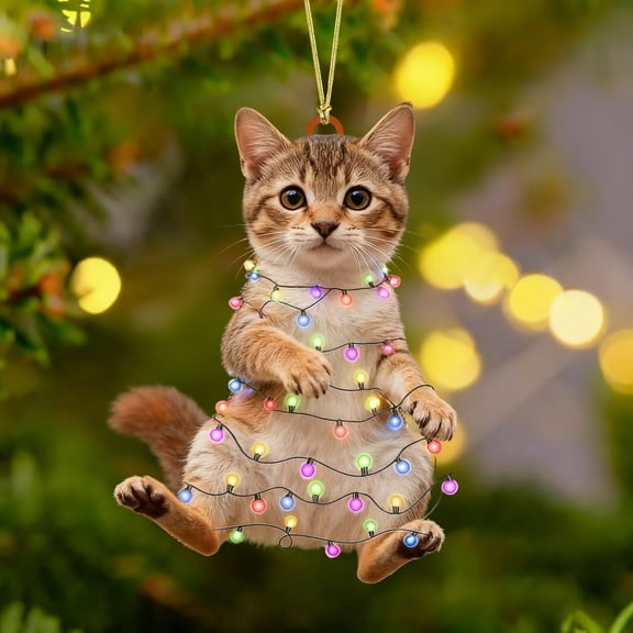 Christmas Cat Forest Animal 2D Ornament, Funny Christmas Animal Hanging Acrylic Flat Decor, DIY Acrylic Flat Xmas Tree Personalized Woodland Creature Acrylic Flat Decor, Animal Lovers