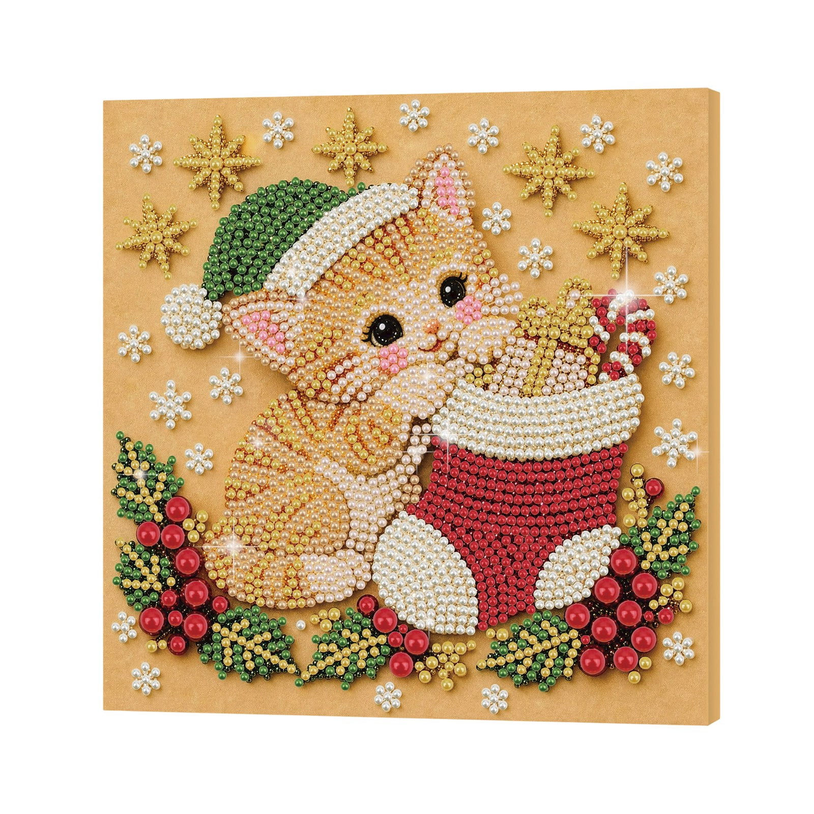 Christmas Cat Stocking 5D Pearl Diamond Painting Kit DIY Framed Canvas ...