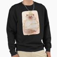 thumbnail image 1 of Christmas Cat Wrapped With Lights Graphic Unisex Sweatshirt Retro Vintage Art G23229, Up to Size 5XL, 1 of 2