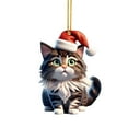 thumbnail image 1 of Lilixerw Cute Cat Christmas Ornament with Santa Hat,Acrylic Cat Hanging Ornament for Car & Christmas Tree,Christmas Decorations Indoor, 1 of 3