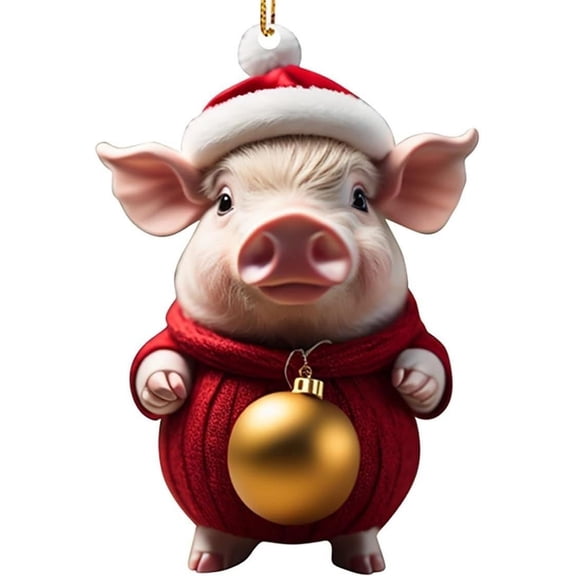 Christmas JoyMoreHome Personalized Pig Christmas Ornament Hanging Pendant Ornaments 2024 Xmas Tree Decoration with Hanging Rope Unique Christmas Gift for Kids