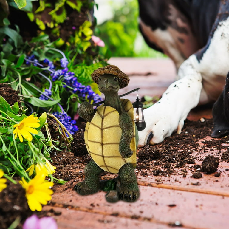 Tortoise home sales decor