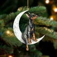 thumbnail image 1 of Christmas Decorations, Christmas Dog Sitting On The Moon Pendant Decoration Black Christmas Traditions in Stained Glass Flocked Lambs Ear Garland Christmas, Christmas Hangs, Home Decor, 1 of 5