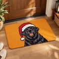 thumbnail image 1 of Christmas Dog Doormat, Orange Cute Puppy with Santa Hat, 24x16 Inch Non-Slip Absorbent Velvet Rug for Front Door, Indoor Entrance, Holiday Decor & Pet Lovers Gift, 1 of 5