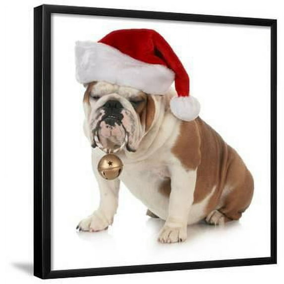 Christmas Dog English Bulldog Wearing Santa Hat Holding Christmas Bell, Animals Seasons Framed Art Print Wall Art by Willee Cole Sold by Art.Com