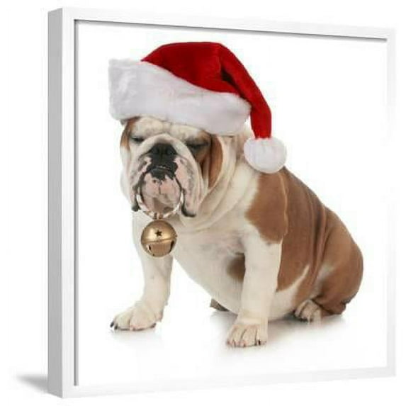 Christmas Dog English Bulldog Wearing Santa Hat Holding Christmas Bell, Animals Seasons Framed Art Print Wall Art by Willee Cole Sold by Art.Com
