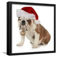 thumbnail image 1 of Christmas Dog  English Bulldog Wearing Santa Hat Holding Christmas Bell, Animals Seasons Framed Art Print Wall Art by Willee Cole Sold by Art.Com, 1 of 6