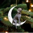 thumbnail image 1 of Christmas Dog Sitting on The Moon Creative Pendant Decoration Black/ Puppy Dog Pendant Christmas Tree Decoration Moon Puppy Pendant Flat Acrylic Pendant Home Car Decoration F, 1 of 6