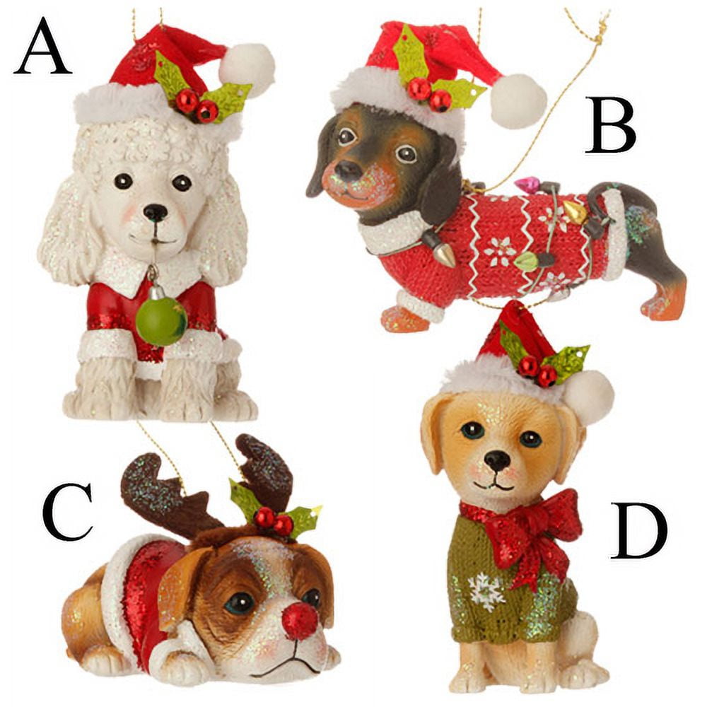 sachin and babi light blue dress Humane Society | Holiday | Halloween Humane Society Pirate Corgi Dog  Figurine Figure Statue Costume 5