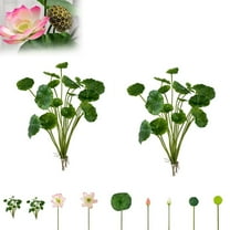 Christmas Fall Leaves Seven 7 Plant Live Indoor Seven Live Plant For Decoration Indoor