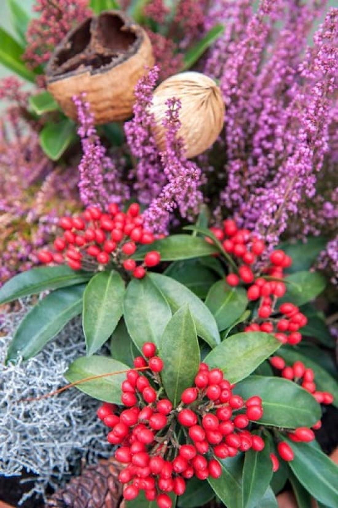 Christmas Floral Decorations Canvas Art - Lisa S Engelbrecht DanitaDelimont (15 x 22)