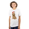 thumbnail image 1 of Christmas Golden Retriever Puppy Women's Graphic T Shirt Tees Brisco Brands S, 1 of 5
