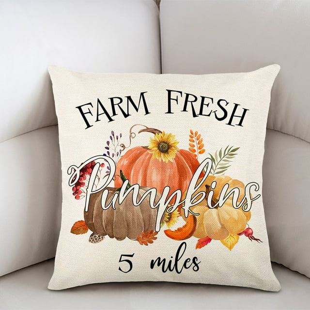 Christmas Holiday Savings 2023! QTOCIO Pillows And Cases, Throw Pillow