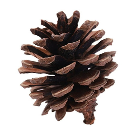 Christmas Home Decorations Christmas Natives Color Pines Cones Christmas Tree Hanging Holiday Decoration Christmas Hanging Shooting Props Wreath Decoration 50% 0ff Clearance!