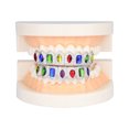 thumbnail image 1 of Christmas Iced Out Teeth Grillz Set for Men & Women, Copper Top & Bottom Grills with Multi-Color Zirconia, Silver & Gold Tone Hip Hop Party Jewelry, 1 of 3