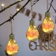 thumbnail image 1 of Christmas Light Bulb Ornament, Transparent LED Hanging Decoration with Warm Lights and Floral Design for Christmas Tree Holiday Home Wedding Party Decor 2025 Trend Collection, 1 of 6