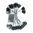 thumbnail image 1 of Christmas Lights Decorations 5ft 10 LED Battery Operated Christmas Santa Claus Snowflake Snowman String Waterproof Xmas Fairy Lights for Holiday Party Indoor Outdoor Home Decor, 1 of 2