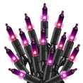 thumbnail image 1 of Christmas Lights Indoor Outdoor, 33ft 100-count Lights Incandescent Mini String Light, Battery Powered Lights for Xmas Tree, Patio, Holiday, Party, Home, Garden, Decorations (Purple), 1 of 6