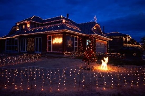 Christmas Lights Waldronville Dunedin New Zealand Canvas Art - David Wall DanitaDelimont (18 x 12)