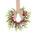 thumbnail image 1 of Christmas Mini Cabinet Wreath, 10" Norfolk Pine Wreath with Bow Red Berry for Chair, Artificial Small Kitchen Wreath for Window Front Door Farmhouse Wall Pillars Xmas Decor 1Pc,Khaki Bow, 1 of 4