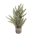 thumbnail image 1 of Christmas Mini Pine Tree Small Flocked Farmhouse Decoration Holiday Table Top Mantle Home Decor, 1 of 4