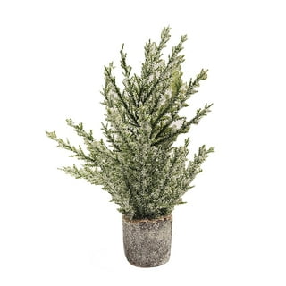 Small Flocked Christmas Pine Tree Mini Farmhouse Decorations Holiday Home Decor Small Flocked Christmas Pine Tree Mini Farmhouse Decorations Holiday Home Decor