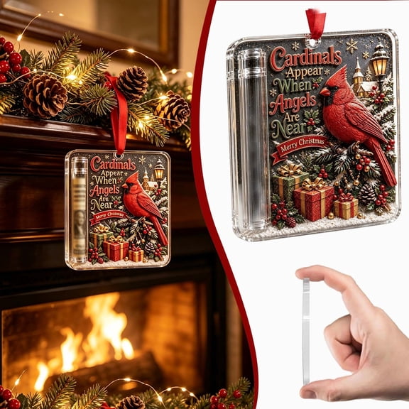 Christmas Money Holders For Cash,Cardinal Money Holder For Cash,Funny xmas Tree Decoration,Cash Present Ornament,Hanging Cash Ornament,Fun Ways To Give Money For xmas,Unique Money Gift For Gifting
