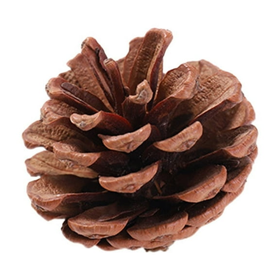 Christmas Natural Pine Cone Ornament, Wooden Christmas Tree Hanging Decoration, Holiday Wreath Decor Cones for Festive Decor