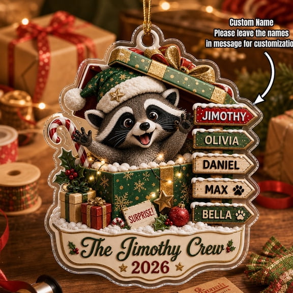 Christmas Ornament Personalized Funny Raccoon Acrylic Tree Hanging Family Gift