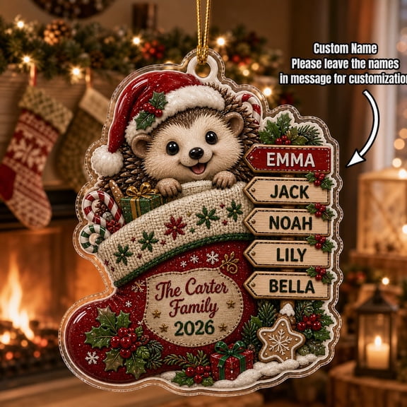 Christmas Ornament Personalized Hedgehog Stocking Acrylic Tree Hanging for Family