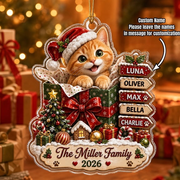 Christmas Ornament Personalized Orange Tabby Gift Box Acrylic Tree Hanging for Cat Lovers