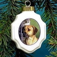 thumbnail image 1 of Christmas Ornament: Rhodesian Ridgeback, 1 of 1