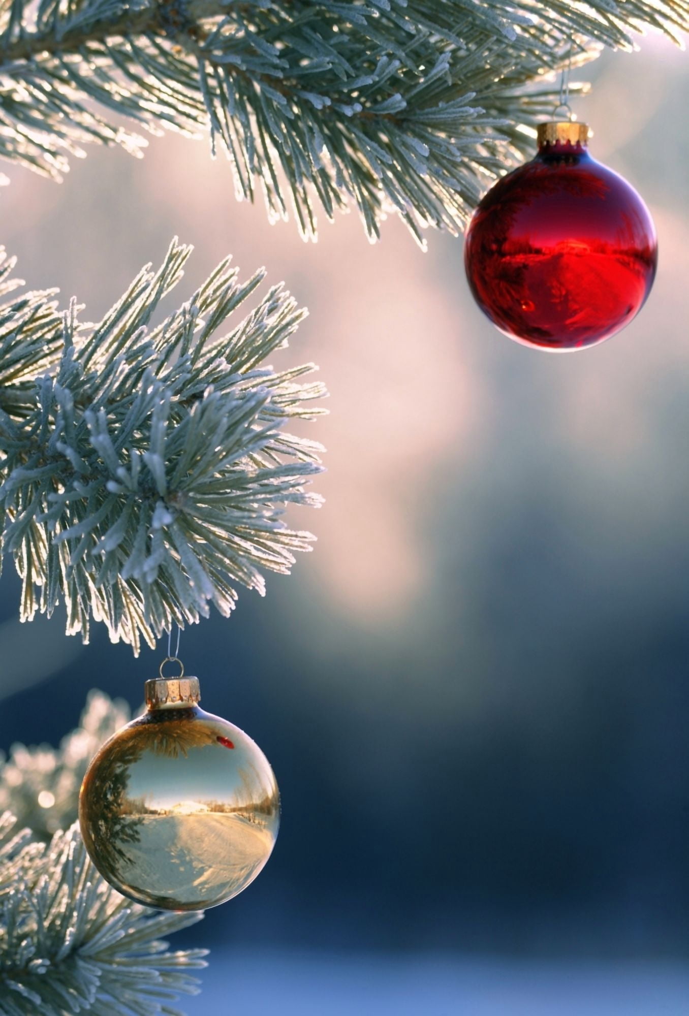 Christmas Ornaments Canvas Art - Carson Ganci Design Pics (22 x 34)