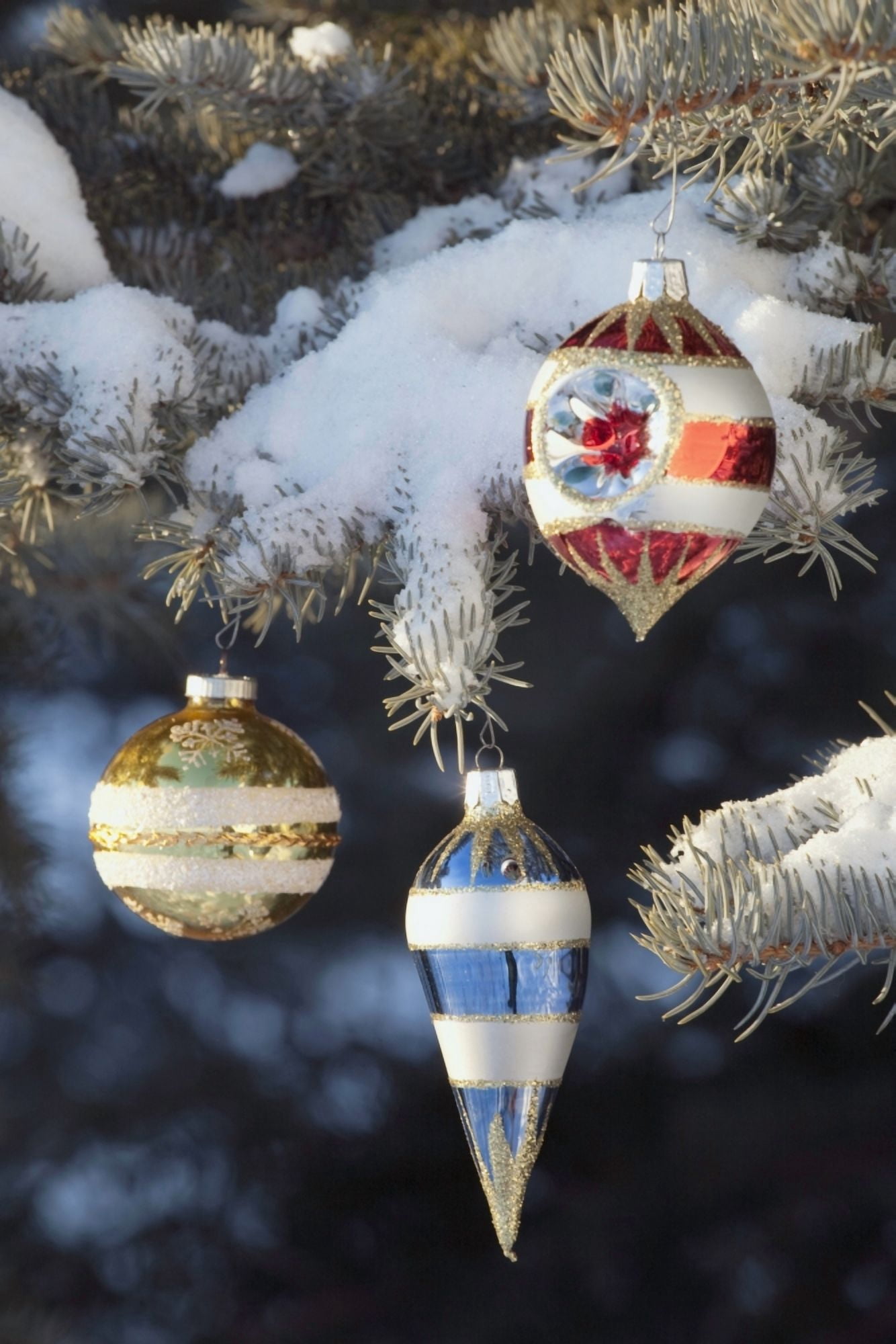 Christmas Ornaments Canvas Art - Michael Interisano Design Pics (12 x 19)